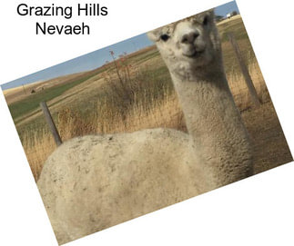 Grazing Hills Nevaeh