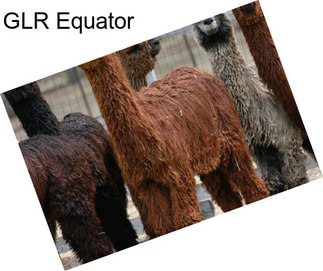 GLR Equator