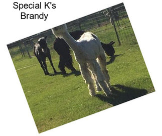 Special K\'s Brandy