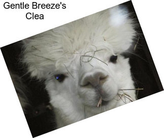 Gentle Breeze\'s Clea