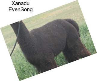 Xanadu EvenSong