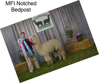 MFI Notched Bedpost