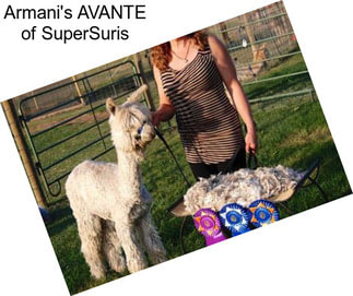 Armani\'s AVANTE of SuperSuris