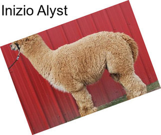 Inizio Alyst