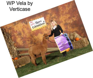 WP Vela by Verticase