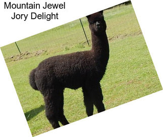 Mountain Jewel Jory Delight