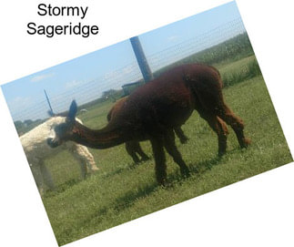 Stormy Sageridge