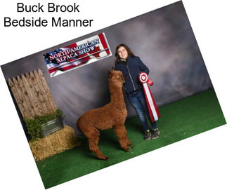 Buck Brook Bedside Manner