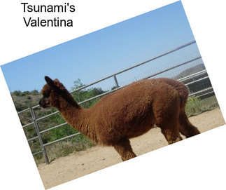 Tsunami\'s Valentina