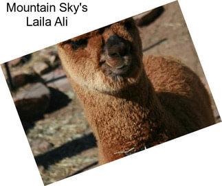 Mountain Sky\'s Laila Ali