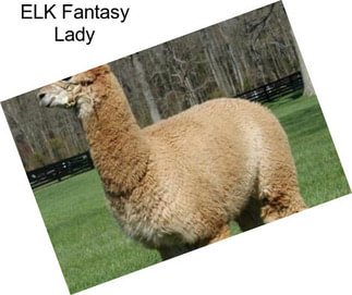 ELK Fantasy Lady