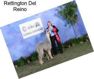 Rettington Del Reino