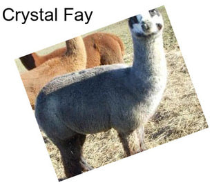 Crystal Fay