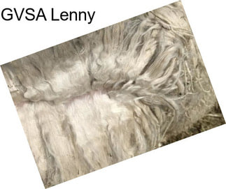 GVSA Lenny