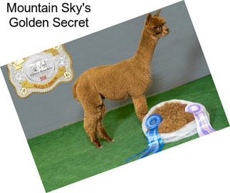 Mountain Sky\'s Golden Secret