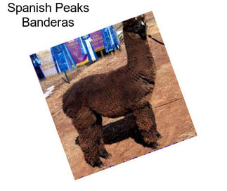 Spanish Peaks Banderas