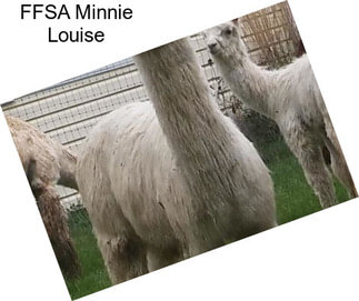 FFSA Minnie Louise