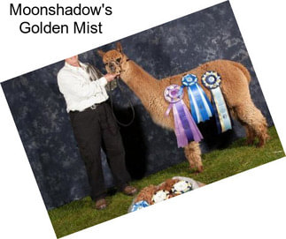 Moonshadow\'s Golden Mist