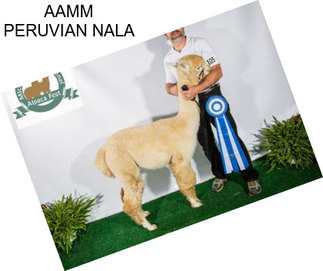 AAMM PERUVIAN NALA