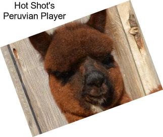 Hot Shot\'s Peruvian Player