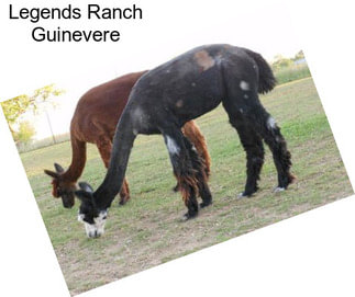 Legends Ranch Guinevere