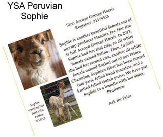 YSA Peruvian Sophie