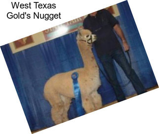 West Texas Gold\'s Nugget