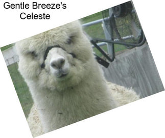 Gentle Breeze\'s Celeste