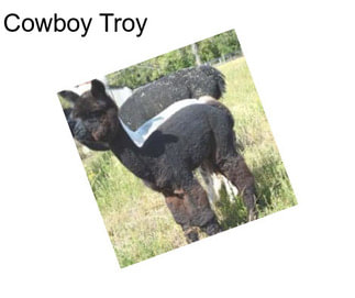 Cowboy Troy