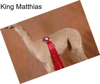 King Matthias