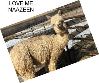 LOVE ME NAAZEEN