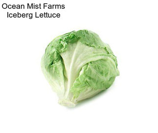 Ocean Mist Farms Iceberg Lettuce