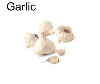 Garlic