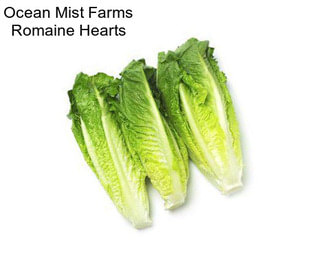 Ocean Mist Farms Romaine Hearts