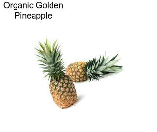 Organic Golden Pineapple