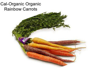 Cal-Organic Organic Rainbow Carrots