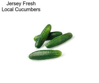 Jersey Fresh Local Cucumbers