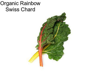 Organic Rainbow Swiss Chard