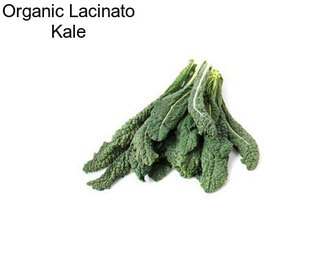 Organic Lacinato Kale