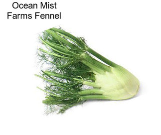 Ocean Mist Farms Fennel