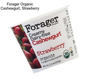 Forager Organic Cashewgurt, Strawberry