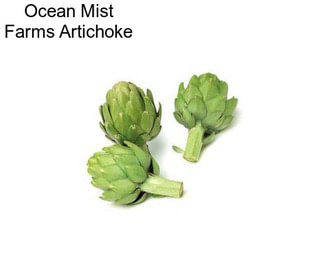 Ocean Mist Farms Artichoke