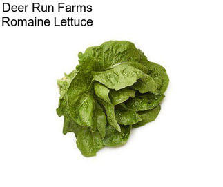 Deer Run Farms Romaine Lettuce