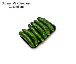 Organic Mini Seedless Cucumbers