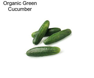 Organic Green Cucumber