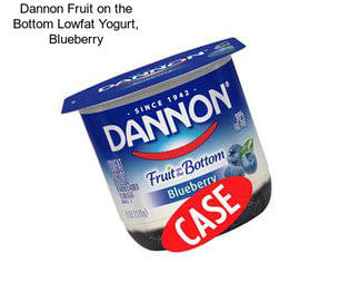 Dannon Fruit on the Bottom Lowfat Yogurt, Blueberry