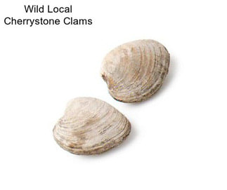 Wild Local Cherrystone Clams