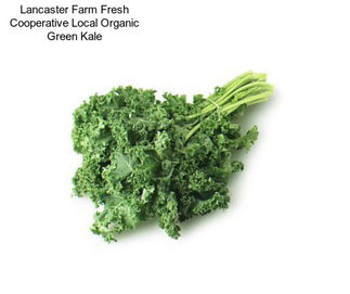 Lancaster Farm Fresh Cooperative Local Organic Green Kale