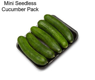 Mini Seedless Cucumber Pack