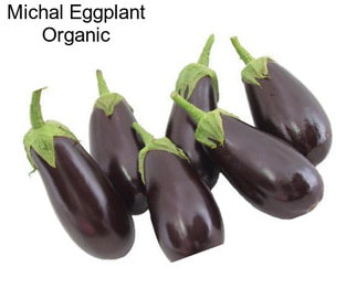 Michal Eggplant Organic